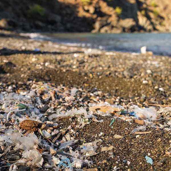 A view of plastic waste littered on a beach