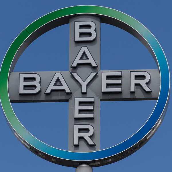 A view of the Bayer logo against a blue sky