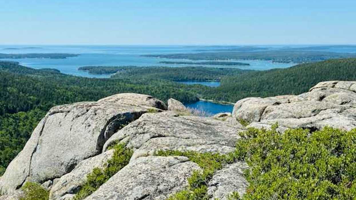 A view of the coast from a forested hill