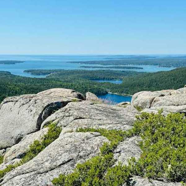 A view of the coast from a forested hill