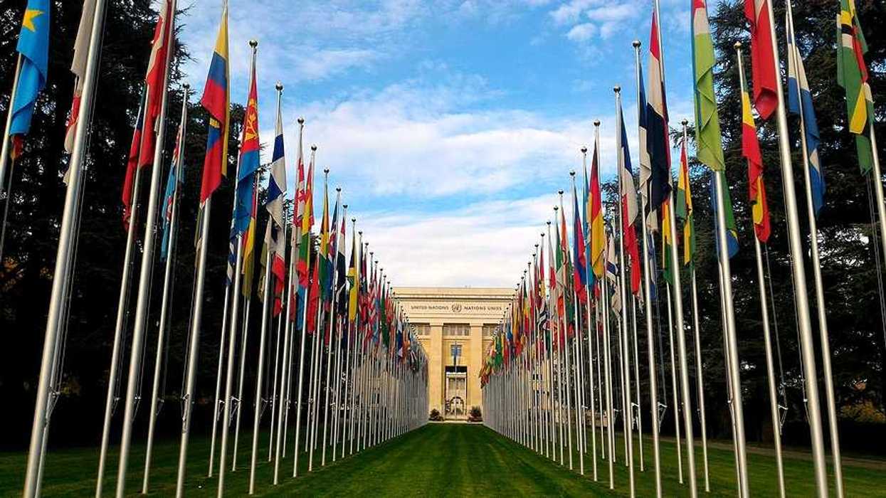 A view of the entrance to the United Nations building with rows of world flags lined along a green lawn