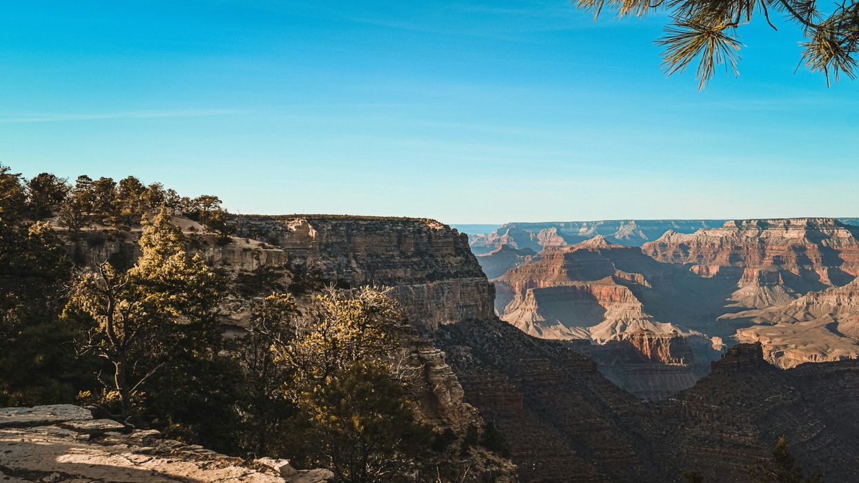 A view of the Grand Canyon from the rim on a sunny day.