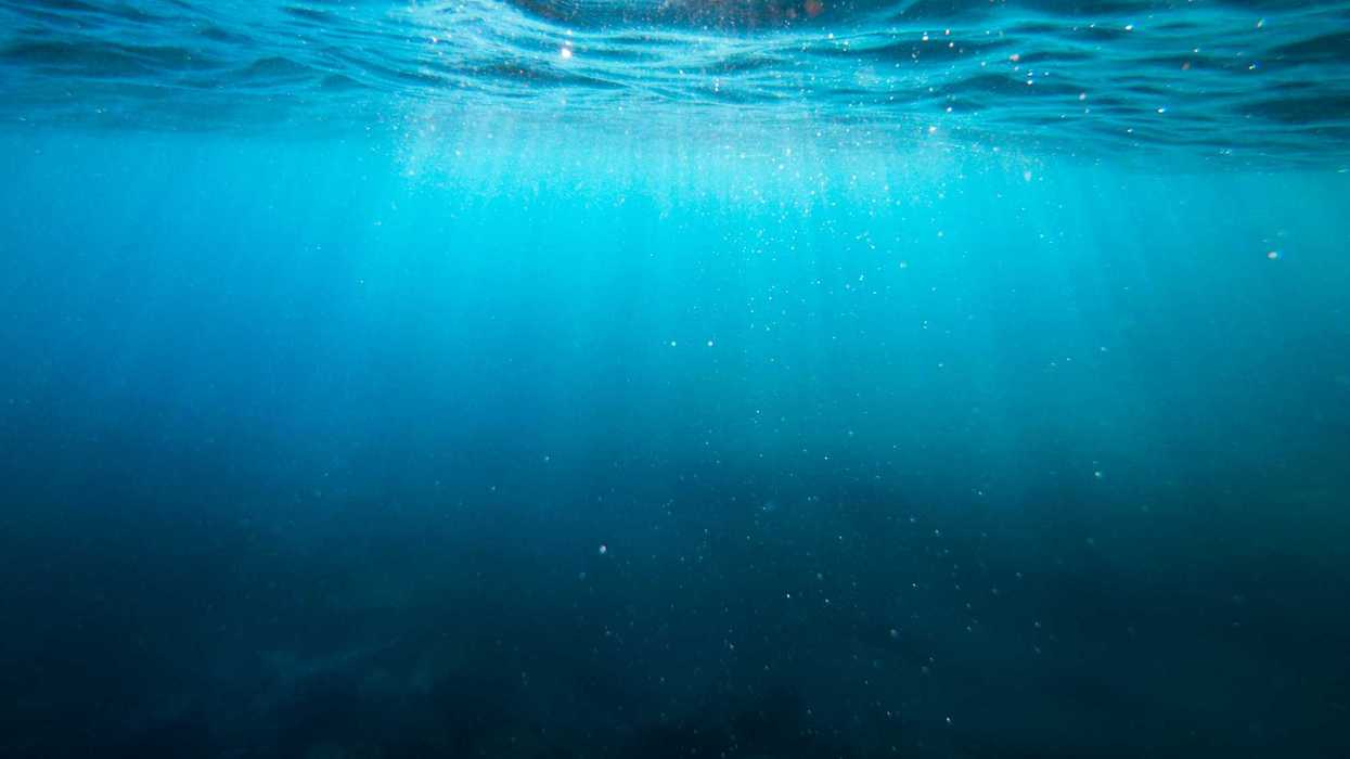 A view of the ocean underwater from darker depths to sunlight at the surface.