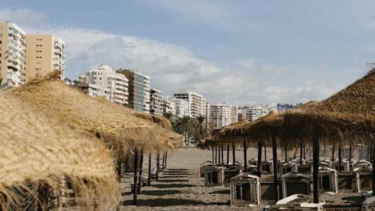 A view of umbrellas on a sandy beach with buildings in the background
