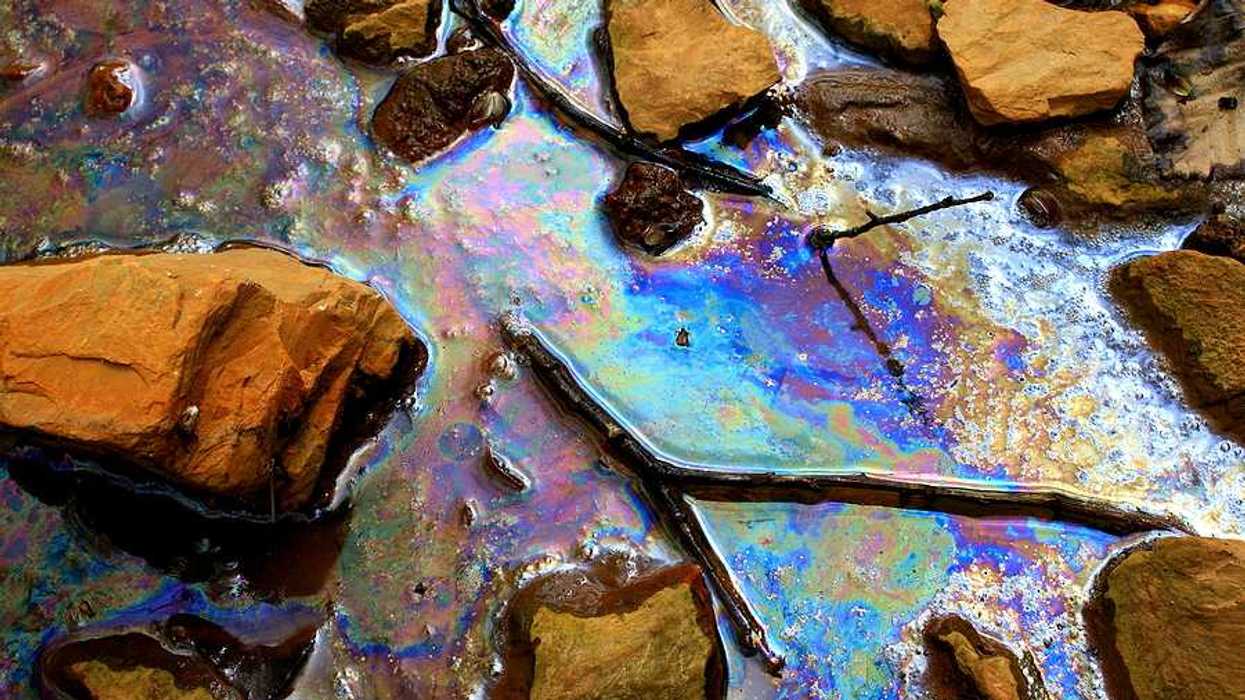 A view of water polluted with an oil substance