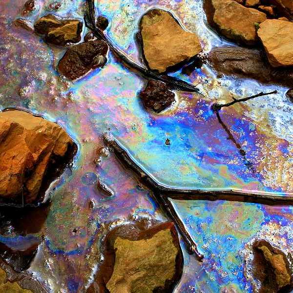 A view of water polluted with an oil substance