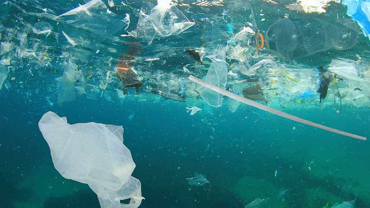 A view of water with plastic trash floating in it
