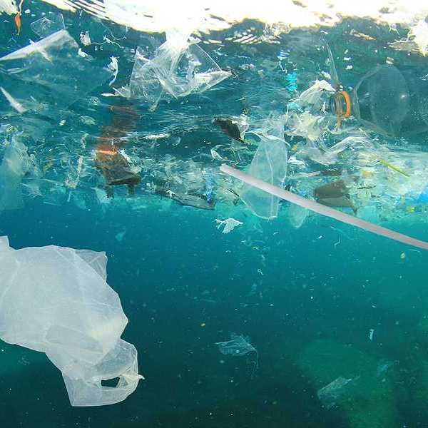 A view of water with plastic trash floating in it