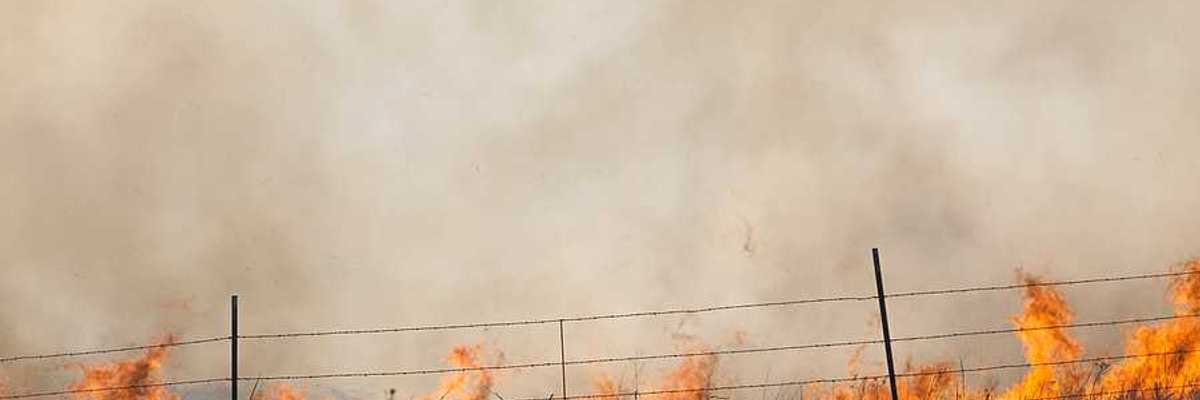 A wildfire burning beyond a fence with grass in the foreground