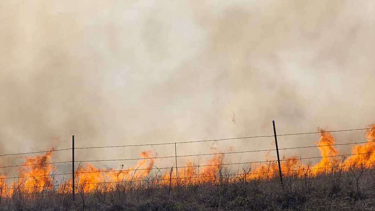 A wildfire burning beyond a fence with grass in the foreground