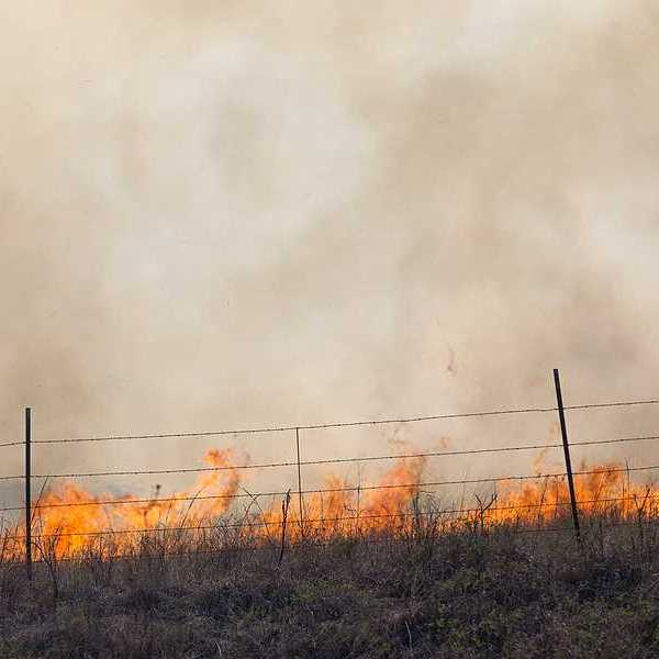 A wildfire burning beyond a fence with grass in the foreground