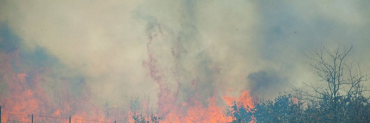 A wildfire in a grassy field