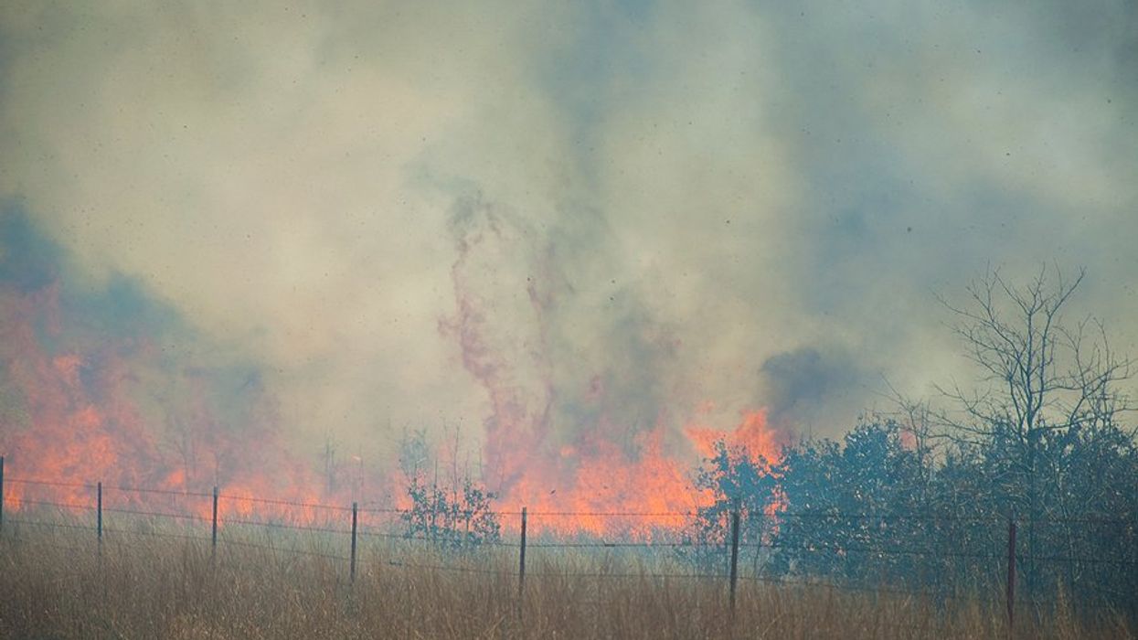 A wildfire in a grassy field