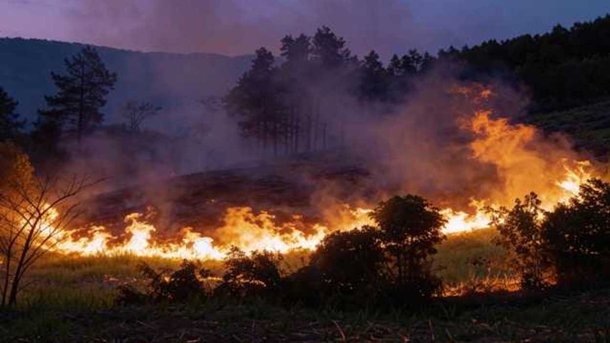 A wildfire moving across a darkened forest