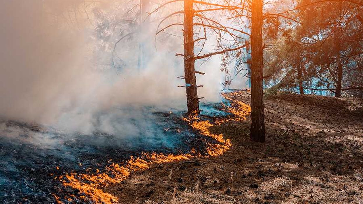 Drought raises the stakes of New Hampshire's relationship to fire