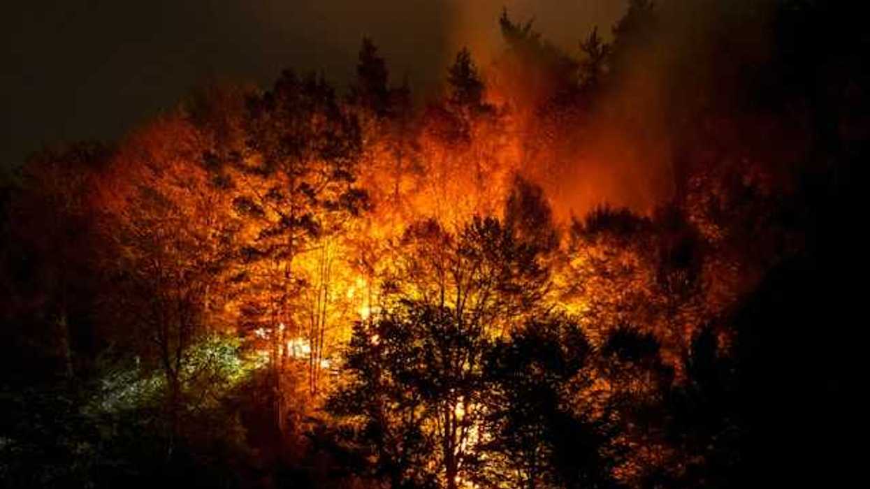 A wildfire on a hillside at night