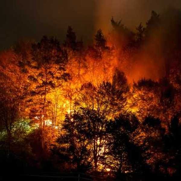 A wildfire on a hillside at night