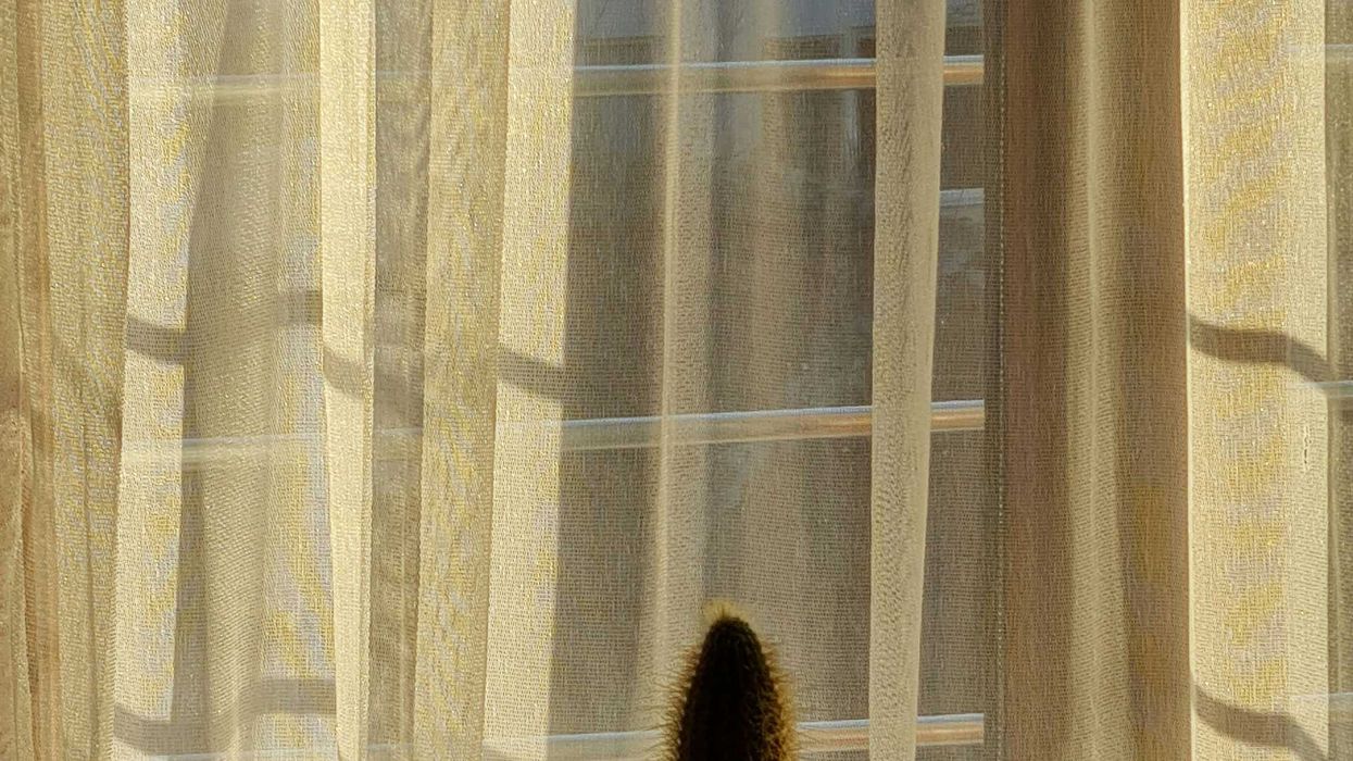 a window sill with three potted plants in front of it.
