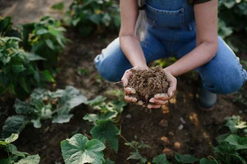 Rising microplastics in soil are a threat to UK food security, MPs and campaigners say