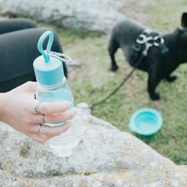 A woman holding a bottle of water with a small black dog in the background