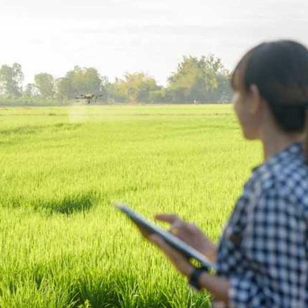 A woman holding a tablet looking out over a green farm field with a drone in the distance