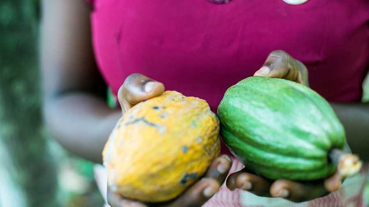 A woman holding yellow and green squash