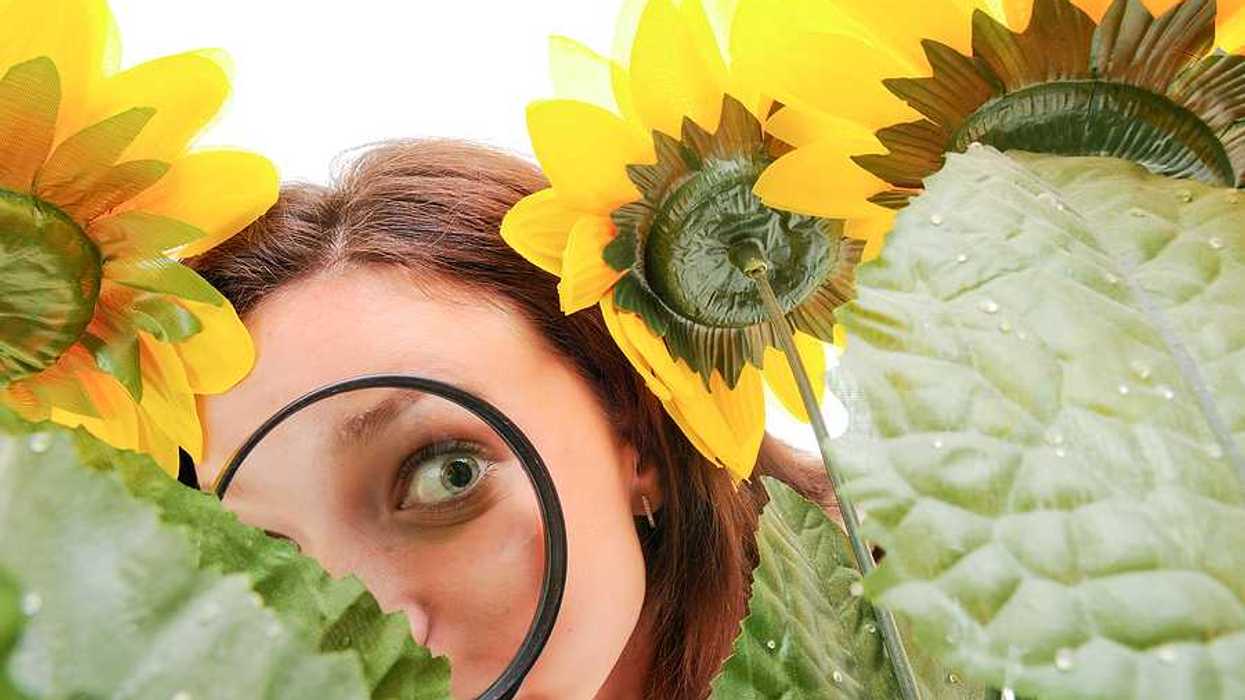 A woman with a magnifying glass looking at flowers
