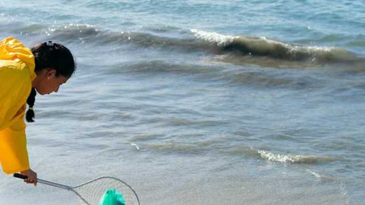 A woman with a net cleaning up plastic bags from the beach