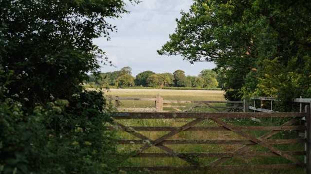 A wooden fence in a clearing between trees opening up to the English countryside