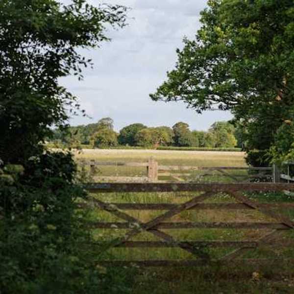 A wooden fence in a clearing between trees opening up to the English countryside