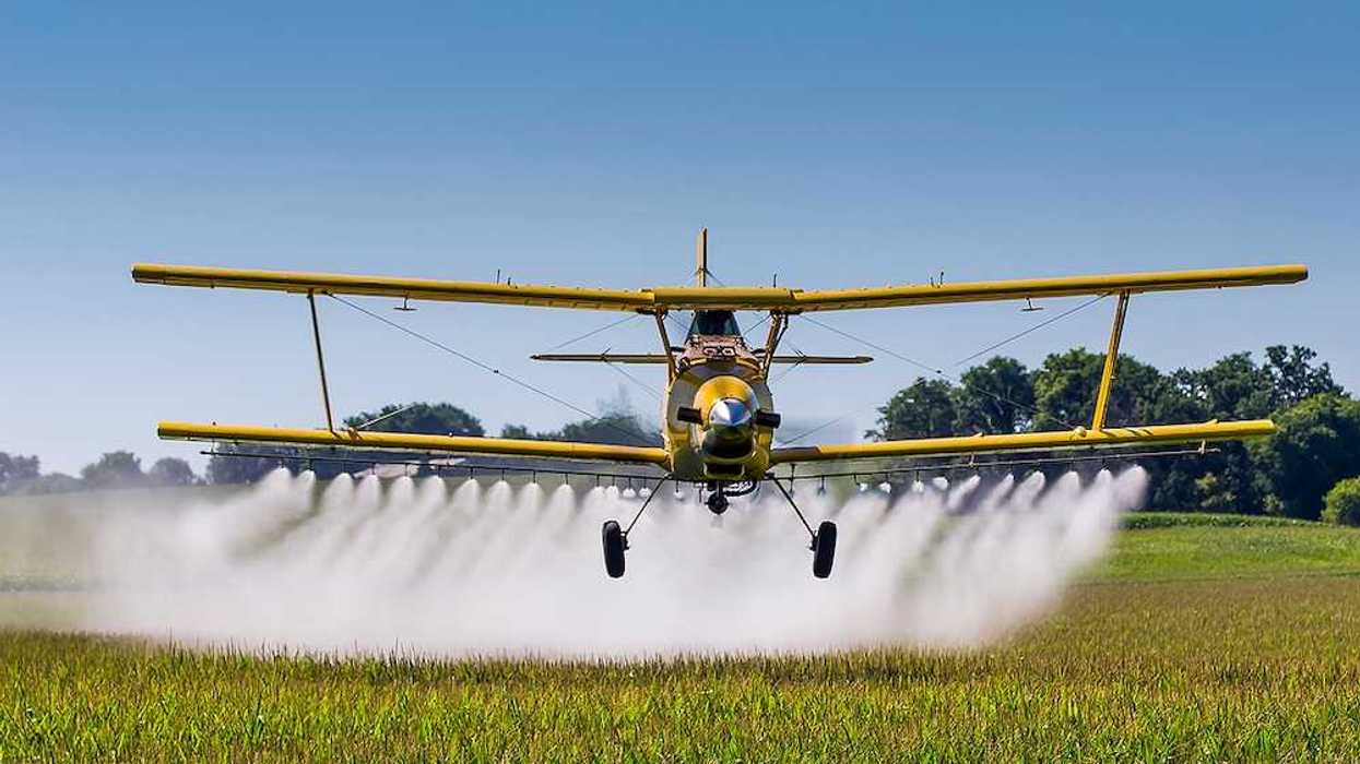 A yellow crop duster applies chemicals to a field of vegetation.