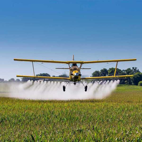 A yellow crop duster applies chemicals to a field of vegetation.