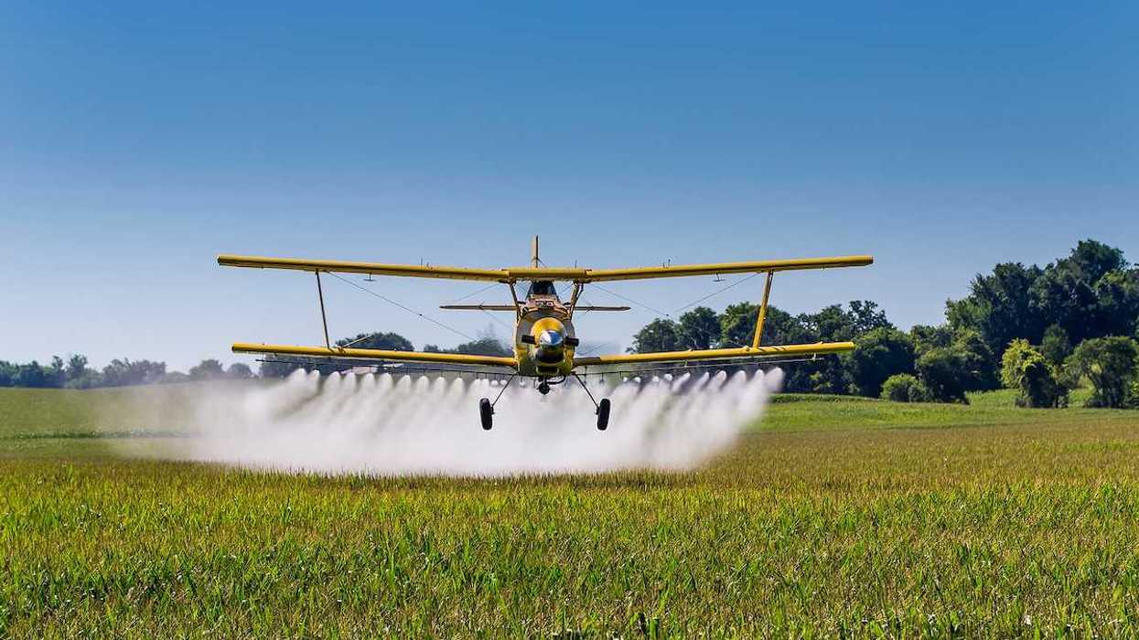 A yellow crop duster plane applies chemicals to a field of vegetation.
