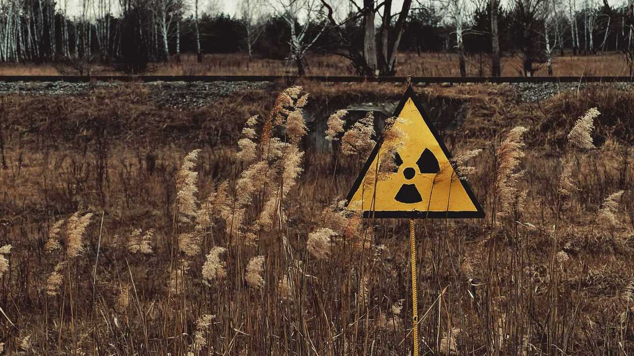 A yellow triangle radiation sign in a field with bare trees in background.