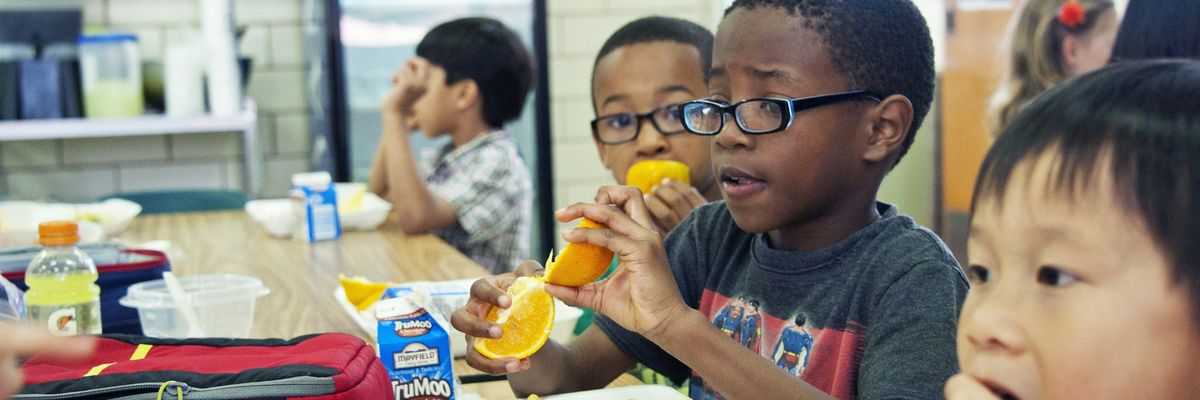 A young boy eats school lunch out of a disposable tray.