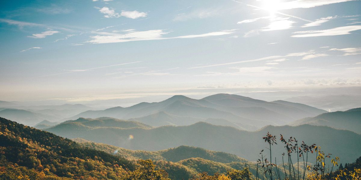 photo of Are we learning the right lessons from Hurricane Helene? image