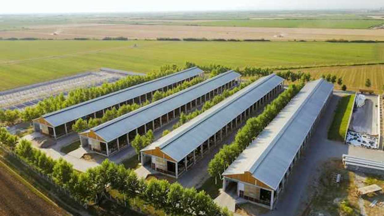Aerial view of a farm with chicken houses