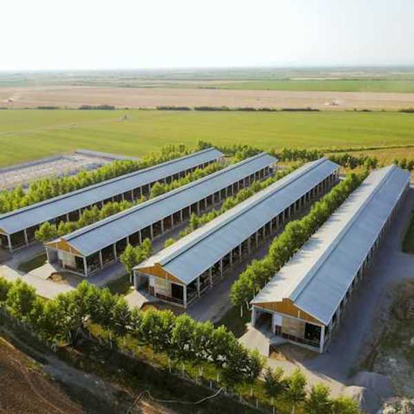 Aerial view of a farm with chicken houses