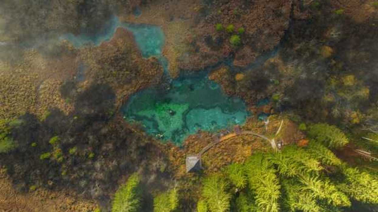 Aerial view of a lake surrounded by trees