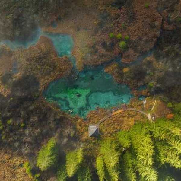 Aerial view of a lake surrounded by trees