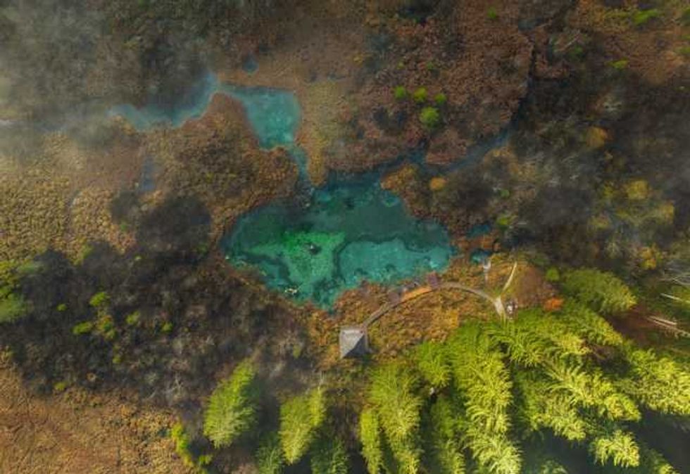What finance can tell us about the ‘twin crises’ of climate change and biodiversity loss