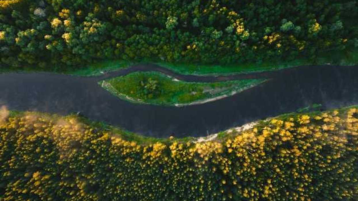 Aerial view of a river above forested land