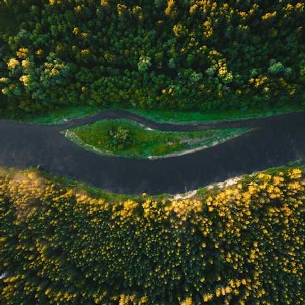 Every body of water in England polluted with toxic chemicals, report shows