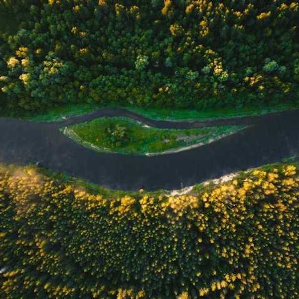 Aerial view of a river above forested land