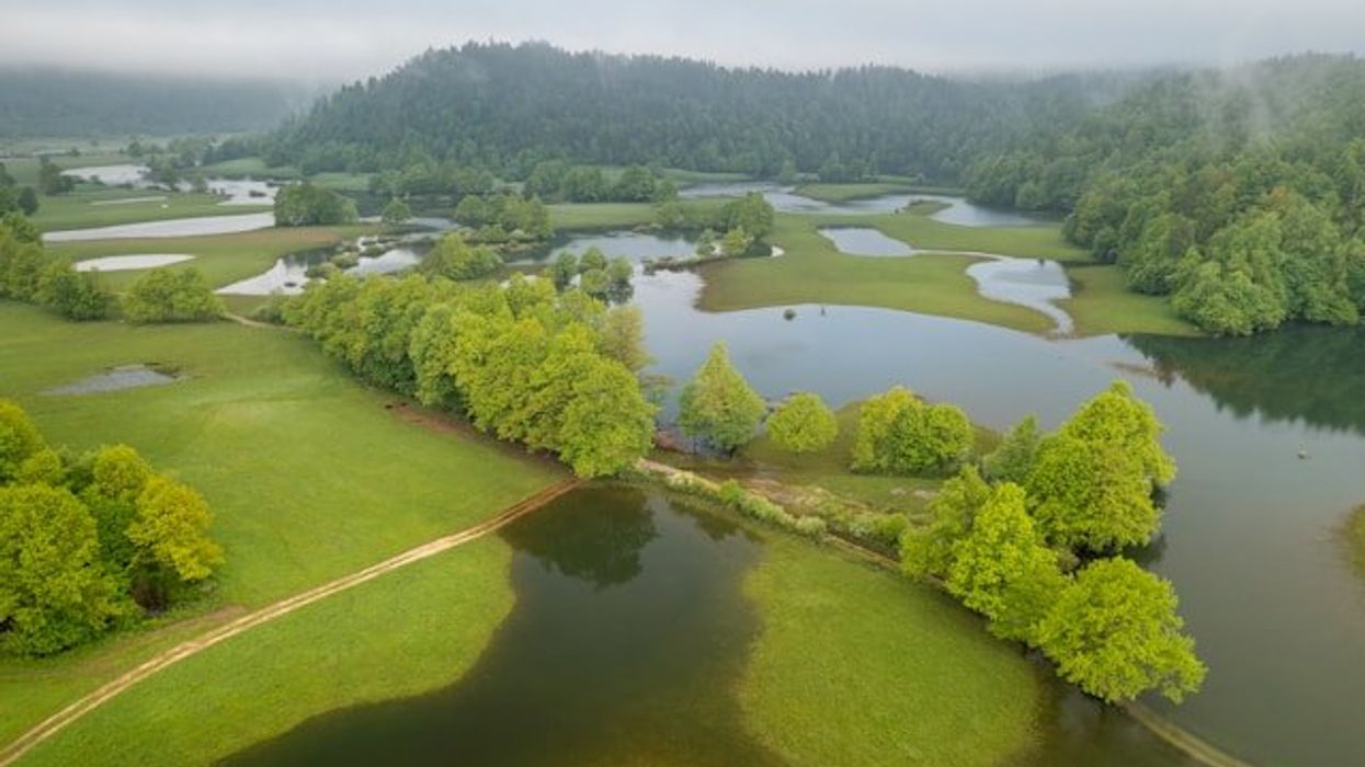 Aerial view of flooded green fields