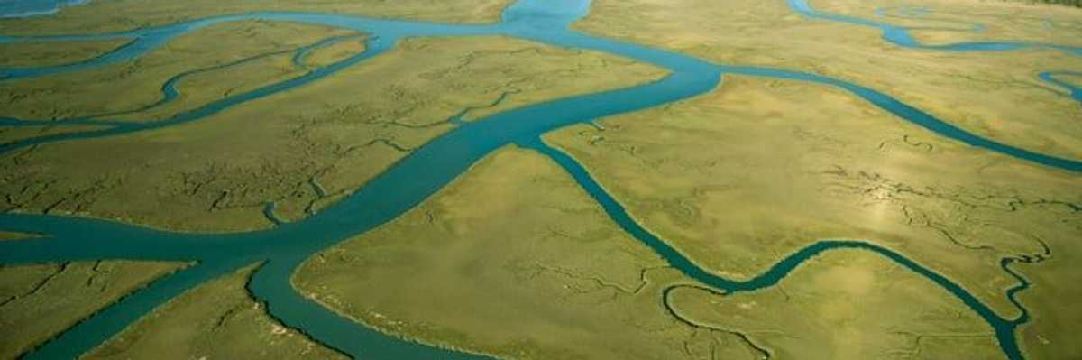 Aerial view of green marshland with a body of water in the distance.