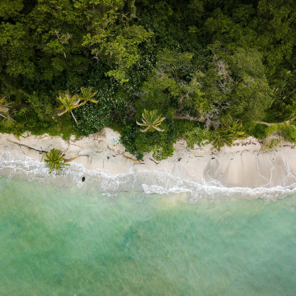 aerial view of green ocean waters, beach, and tropical forest.