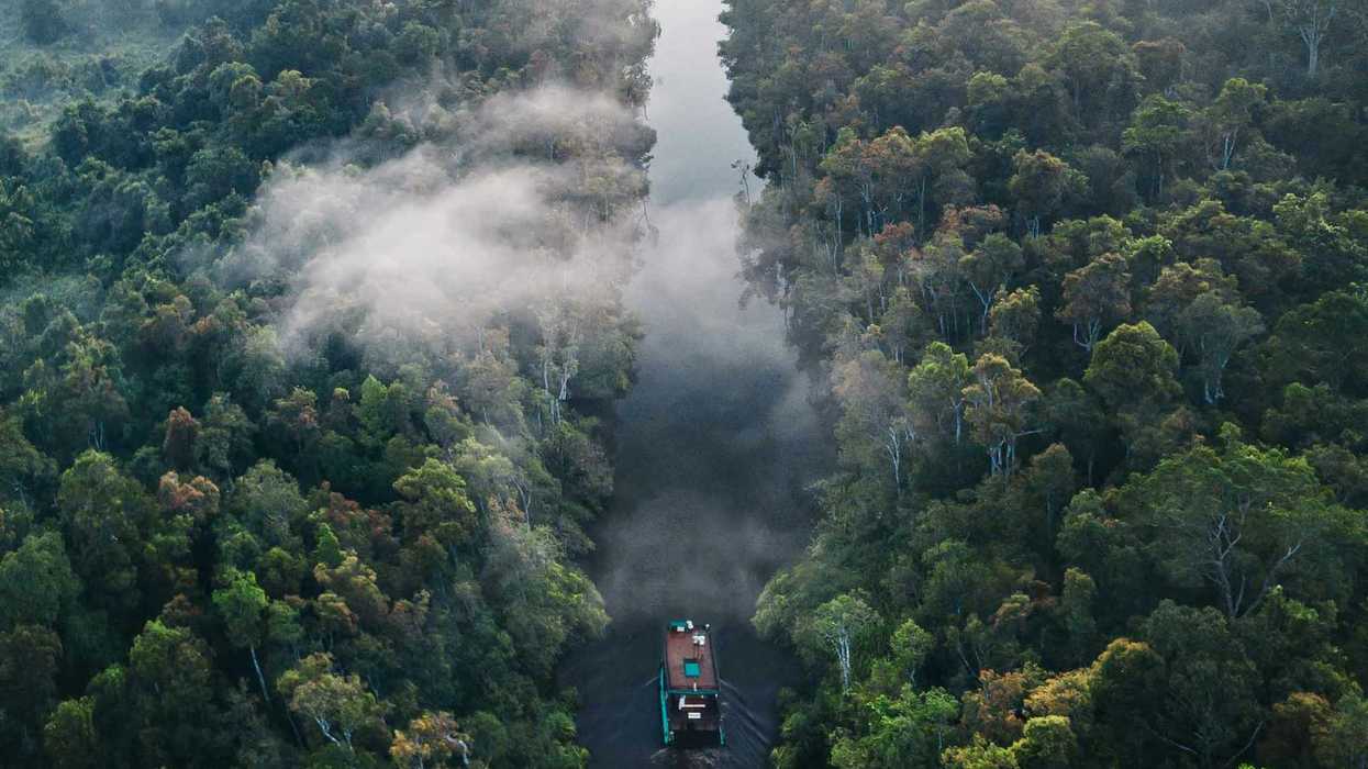 Aerial view of green trees and river under white clouds during daytime