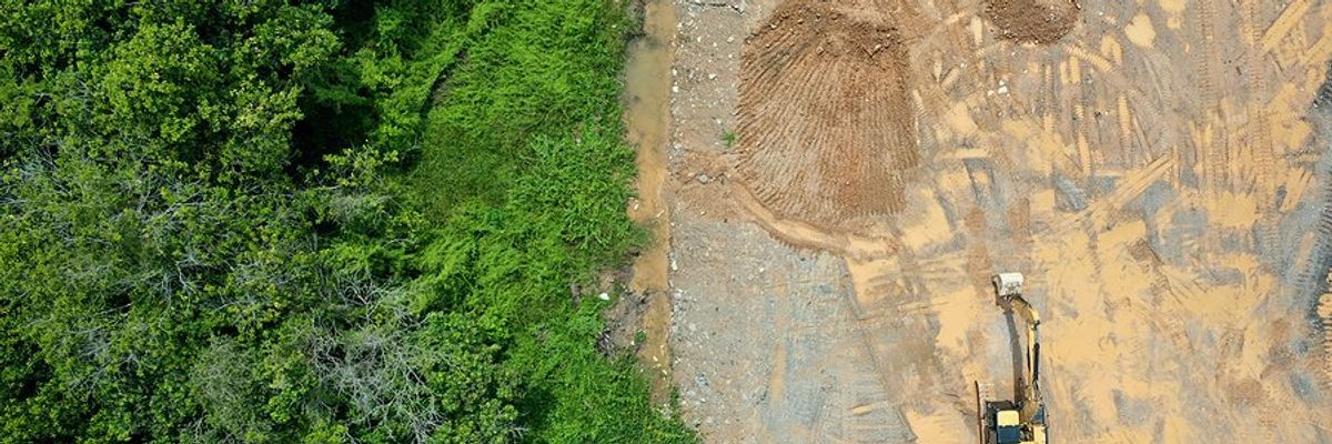 Aerial view of heavy machinery clearing a forest.