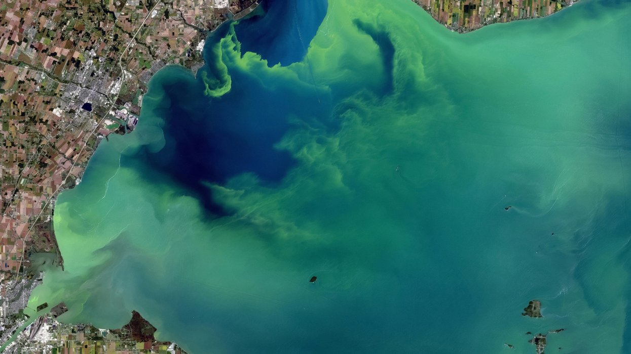 Millions risk losing clean water as Great Lakes lab faces severe budget ...